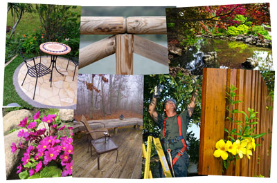 Professional, qualified landscaping and tree surgery in and around Guildford, Surrey